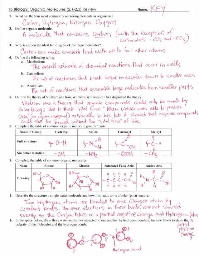 Organic Compounds Worksheet Answers Unique Ib organic Molecules Review Key 2 1 2 3