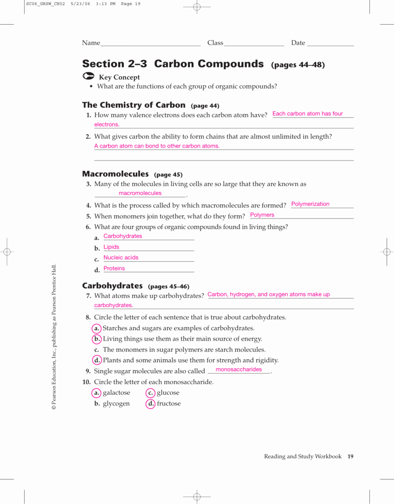 Organic Compounds Worksheet Answers Unique organic Pounds Student Worksheet Answer Key Example