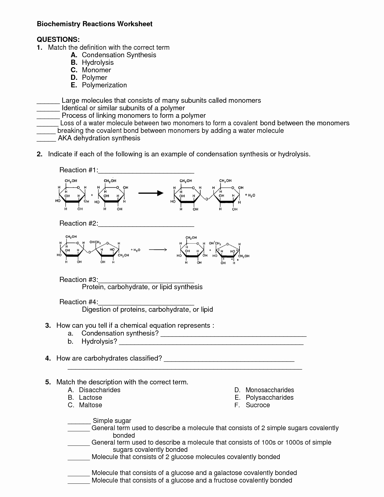 Organic Molecules Worksheet Answer Key Awesome 16 Best Of Carbohydrate Review Worksheet