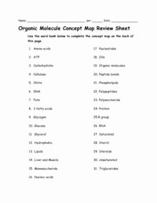 Organic Molecules Worksheet Answer Key Lovely organic Molecule Concept Map Review Sheet 9th 12th Grade