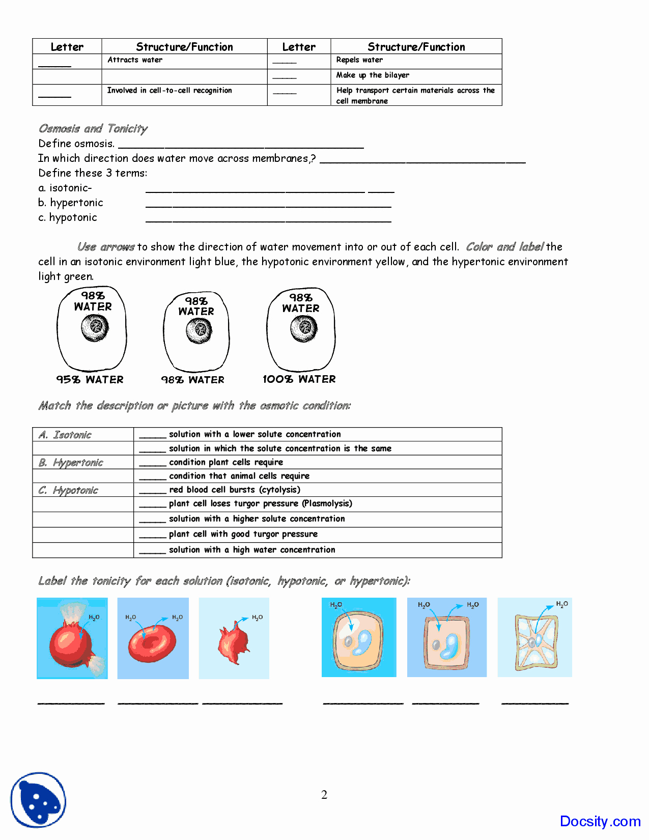 Osmosis and tonicity Worksheet Awesome Cell Membrane Coloring Application Of Biology