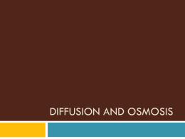 Osmosis and tonicity Worksheet Beautiful Osmosis and tonicity Worksheet