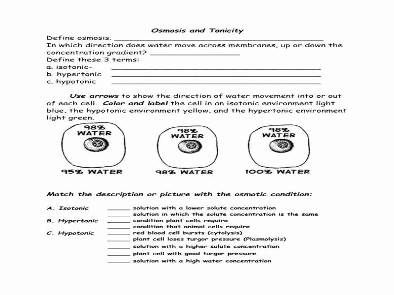 Osmosis And Tonicity Worksheet