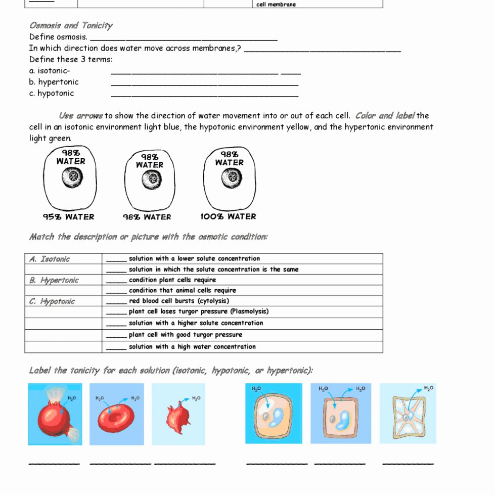 50 Osmosis And Tonicity Worksheet