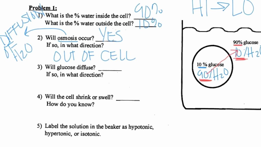 Osmosis And Tonicity Worksheet