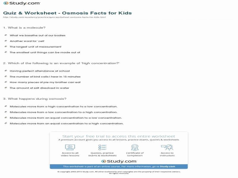 Osmosis Jones Worksheet Answer Key Inspirational Osmosis Jones Worksheet Answers
