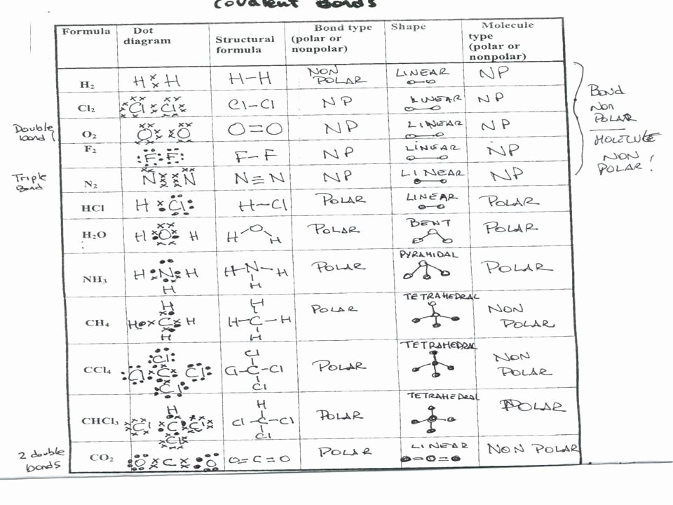 Overview Chemical Bonds Worksheet Answers