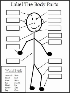 Parts Of A Map Worksheet Elegant 1000 Images About Ipc who Am I On Pinterest