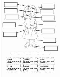 Parts Of A Map Worksheet Unique 1000 Images About Ipc who Am I On Pinterest