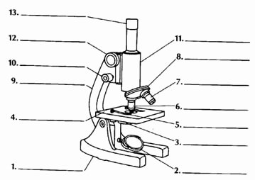 Parts Of A Microscope Worksheet Awesome 16 Best Of Simple Microscope Labeling Worksheet