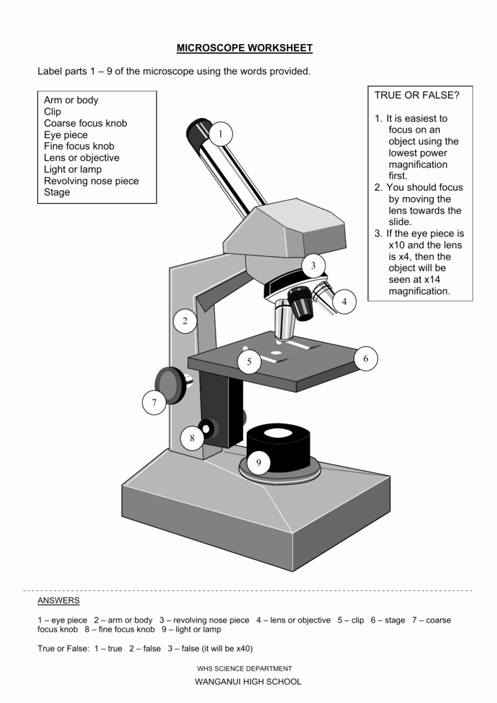Parts Of A Microscope Worksheet Awesome Microscope Worksheet