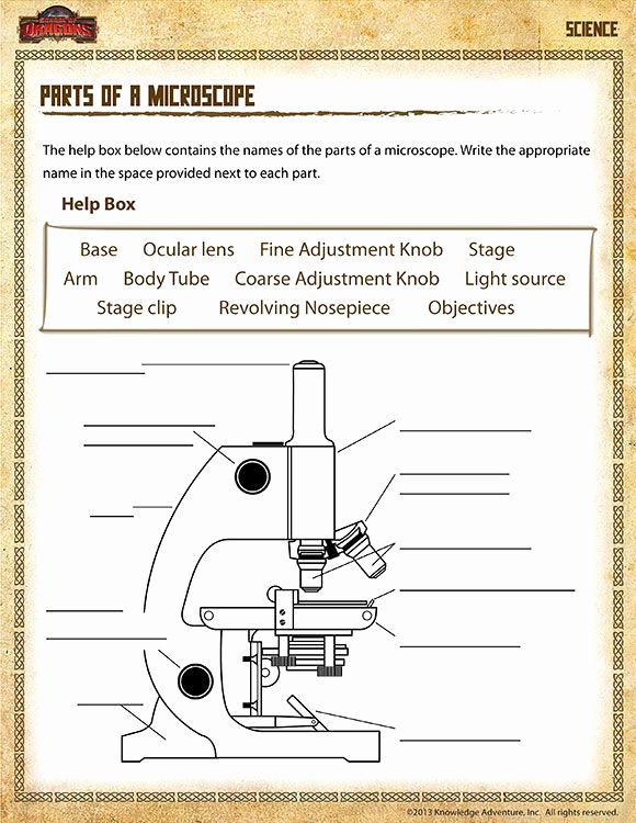 Parts Of A Microscope Worksheet Beautiful Parts Of A Microscope View – Free 5th Grade Science