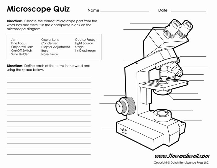 Parts Of A Microscope Worksheet Elegant Best 25 Microscope Parts Ideas On Pinterest