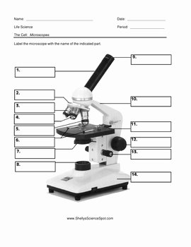Parts Of A Microscope Worksheet Elegant Label the Microscope by Crista Tiboldo