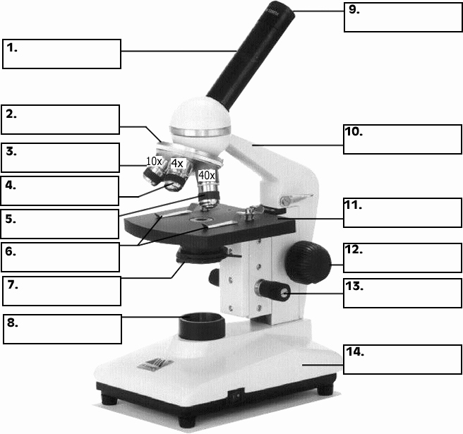 Parts Of A Microscope Worksheet Elegant Microscope Labeling