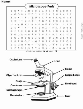Parts Of A Microscope Worksheet Inspirational Microscope Parts Worksheet Word Search by Science Spot