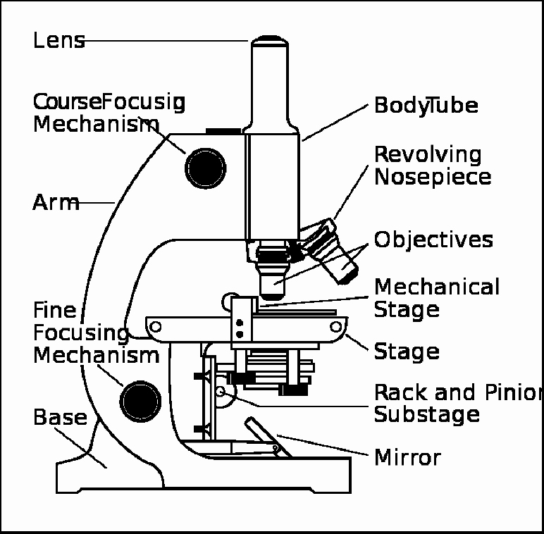 Parts Of A Microscope Worksheet Inspirational Parts Of A Microscope Worksheet