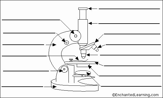 Parts Of A Microscope Worksheet Inspirational Worksheets On Pinterest