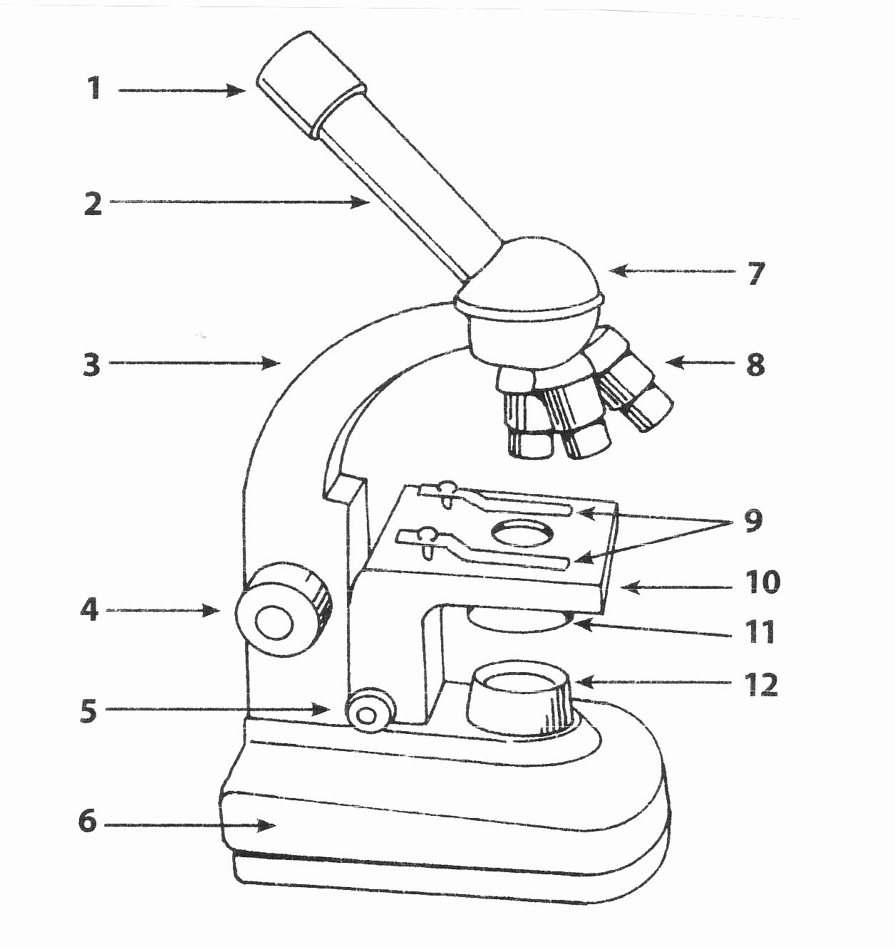 Parts Of A Microscope Worksheet Luxury Pin On Science School Stuff