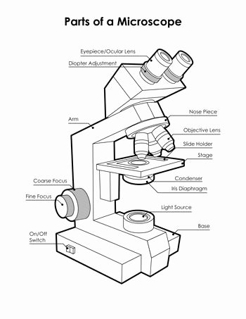 Parts Of A Microscope Worksheet New Microscope Diagram Science Printables Pinterest