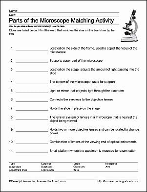 Parts Of A Microscope Worksheet New Parts Of the Microscope Printables Word Searches and