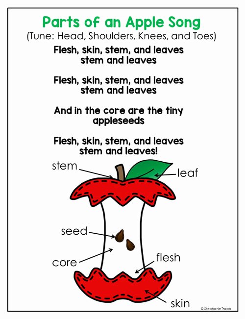 Parts Of An Apple Worksheet Fresh Apple Unit for Kindergarten and First Grade
