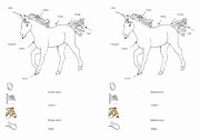 Parts Of the Horse Worksheet Fresh English Worksheets Horse Vocabulary Sheet