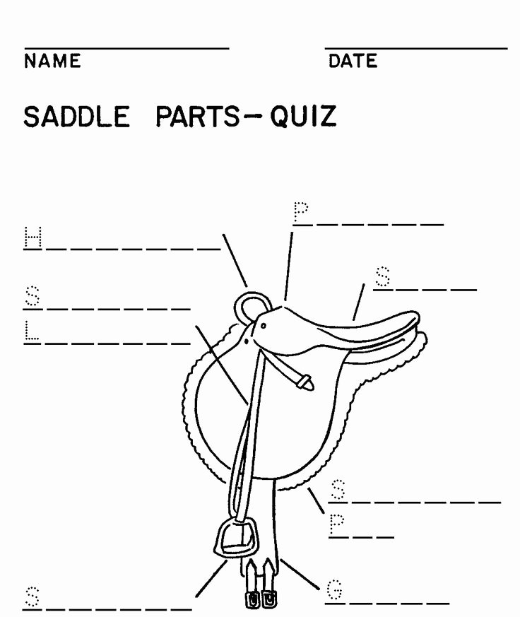 Parts Of the Horse Worksheet Lovely 15 Best Of Parts the Horse Worksheet Anatomy