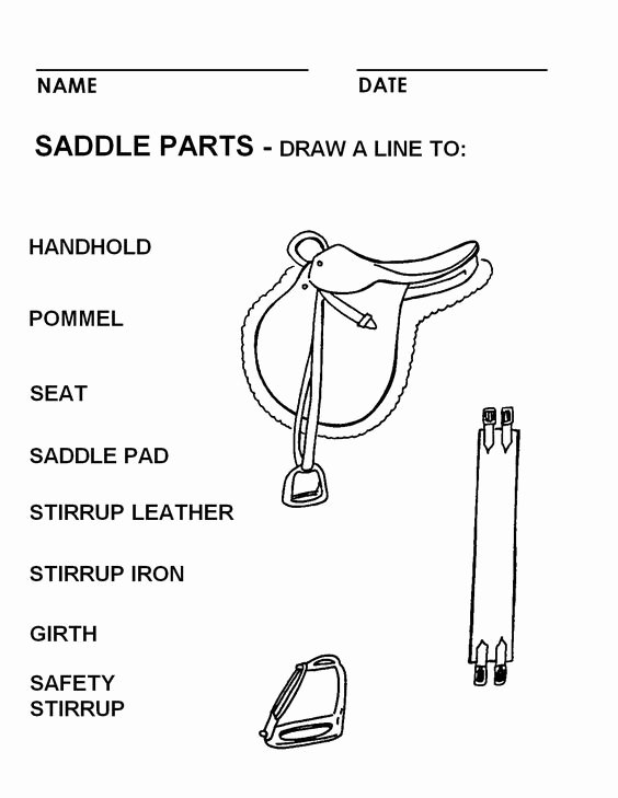 Parts Of the Horse Worksheet New Booklet Pg 12 Parts Of An English Saddle the Rest Of