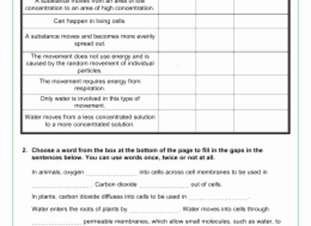 Passive and Active Transport Worksheet Lovely Diffusion Osmosis and Active Transport Worksheetpdf