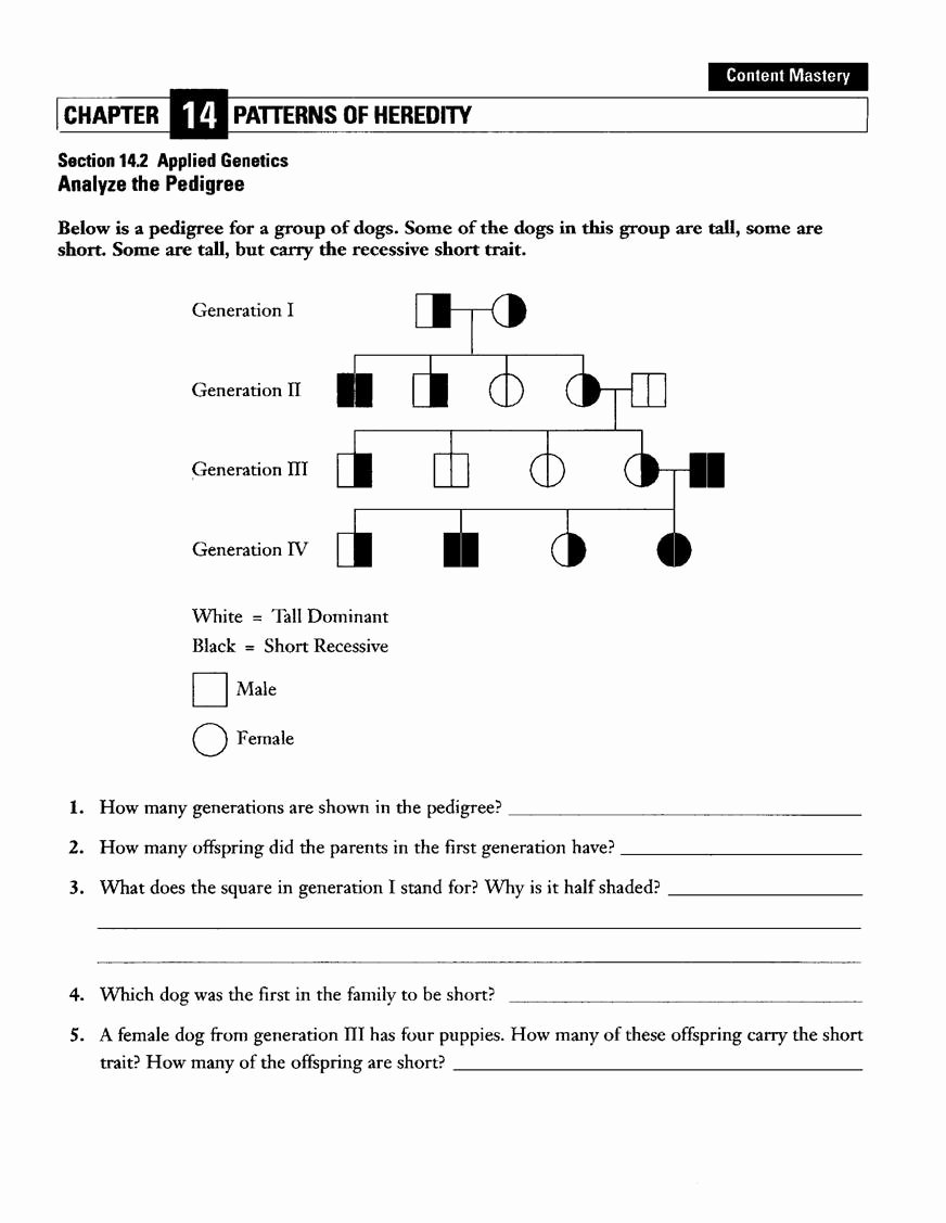 Pedigree Worksheet Answer Key Best Of Worksheet Pedigree Worksheet Interpreting A Human
