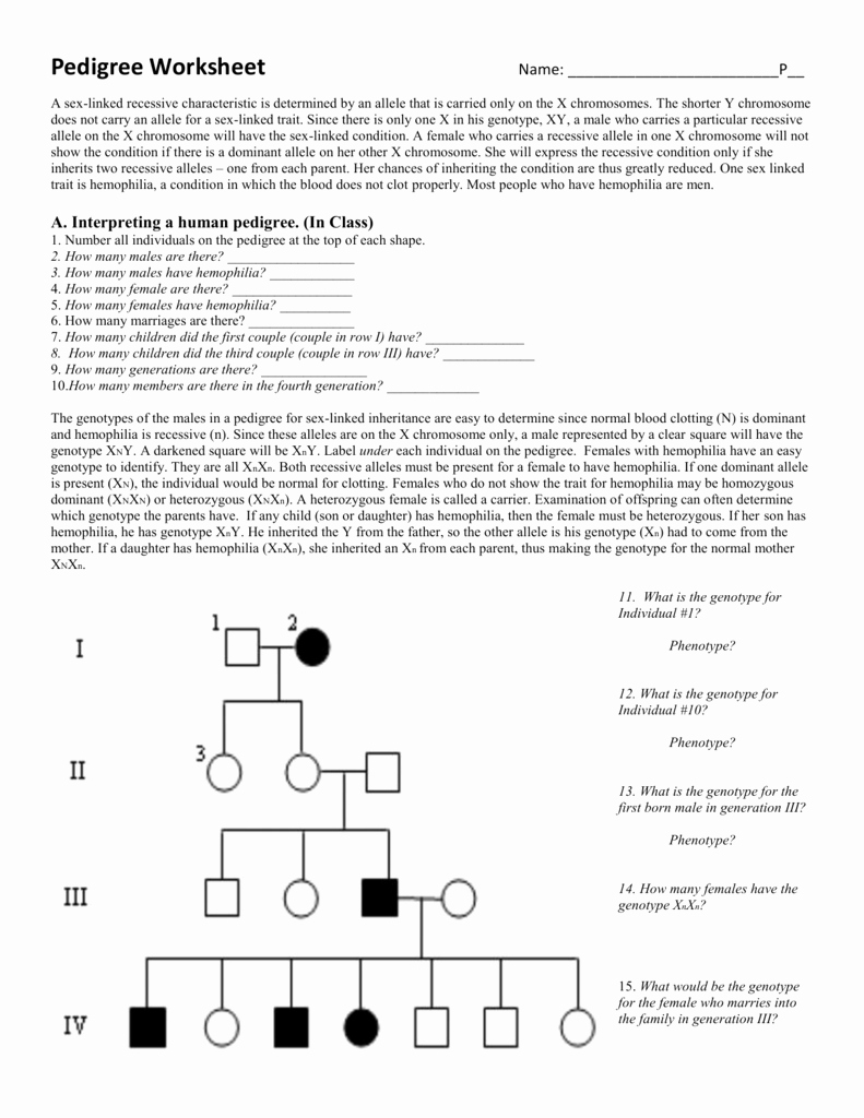 Pedigree Worksheet Answer Key Inspirational Worksheet Pedigree Worksheet Interpreting A Human