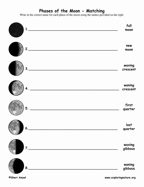 Phases Of the Moon Worksheet Inspirational Moon Phases Worksheet Printable