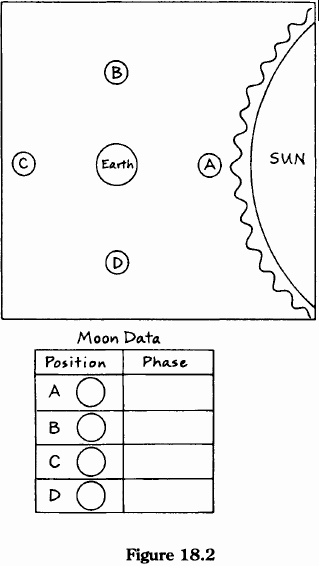 Phases Of the Moon Worksheet New Pin On Teaching Ideas