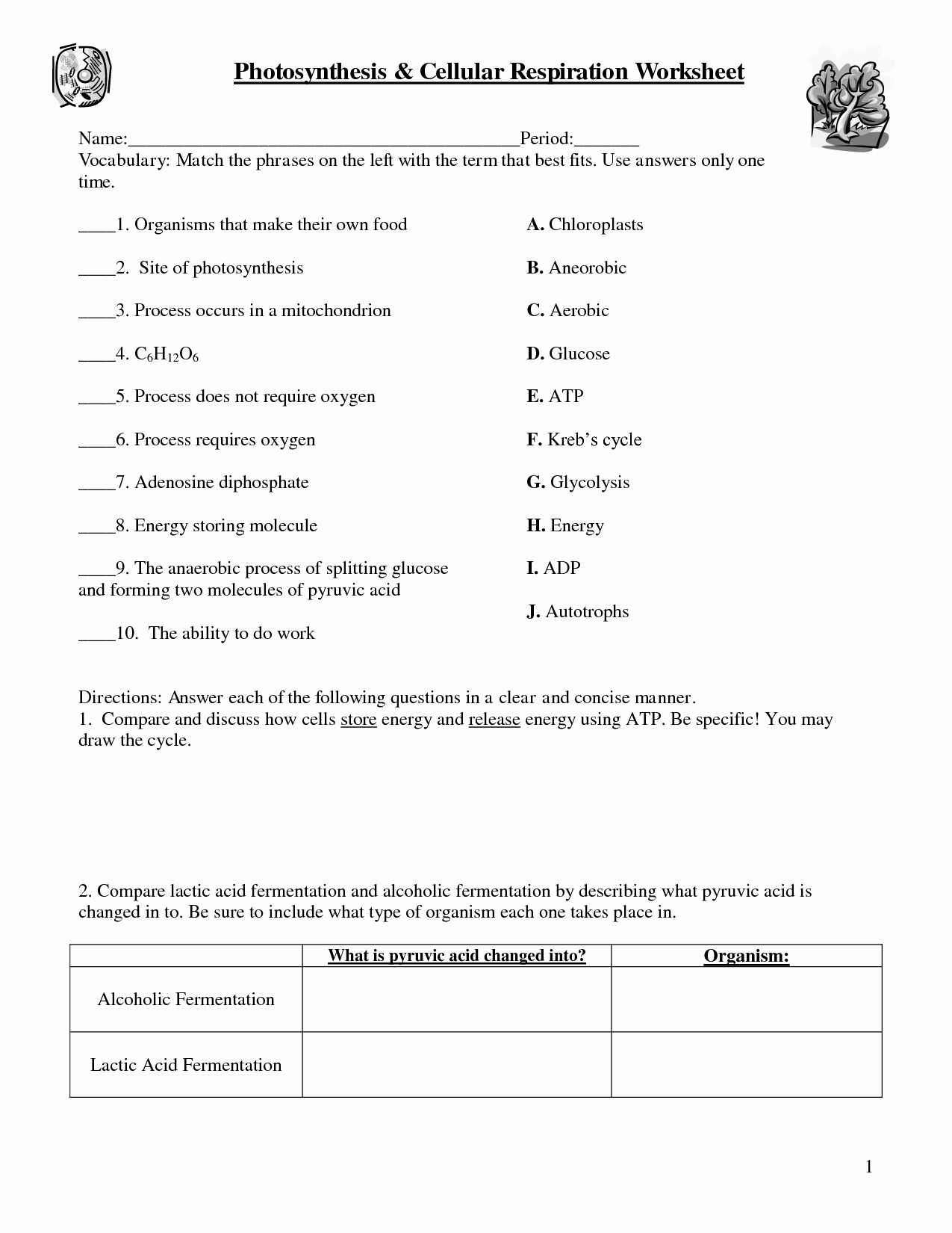 Photosynthesis and Cellular Respiration Worksheet Beautiful 15 Best Of Chapter 9 Cellular Respiration Worksheet