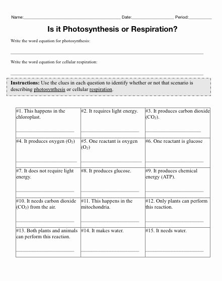 Photosynthesis and Cellular Respiration Worksheet Fresh Teaching the Kid Synthesis and Respiration