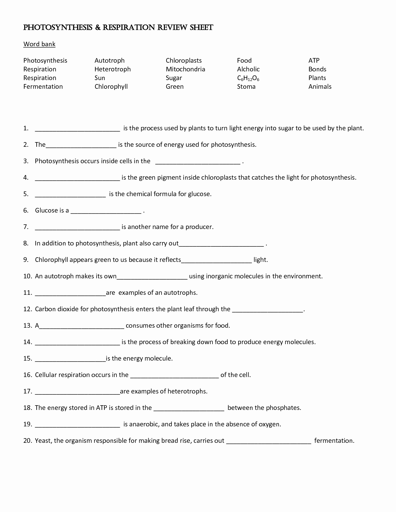 Photosynthesis and Cellular Respiration Worksheet Inspirational 15 Best Of Plant Synthesis Worksheet