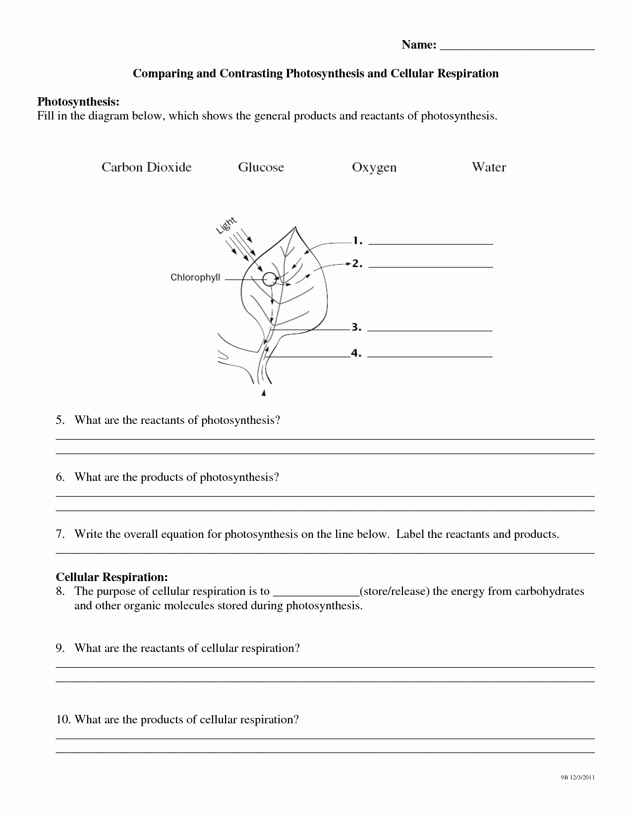 Photosynthesis and Cellular Respiration Worksheet Lovely 11 Best Of Synthesis Review Worksheet with