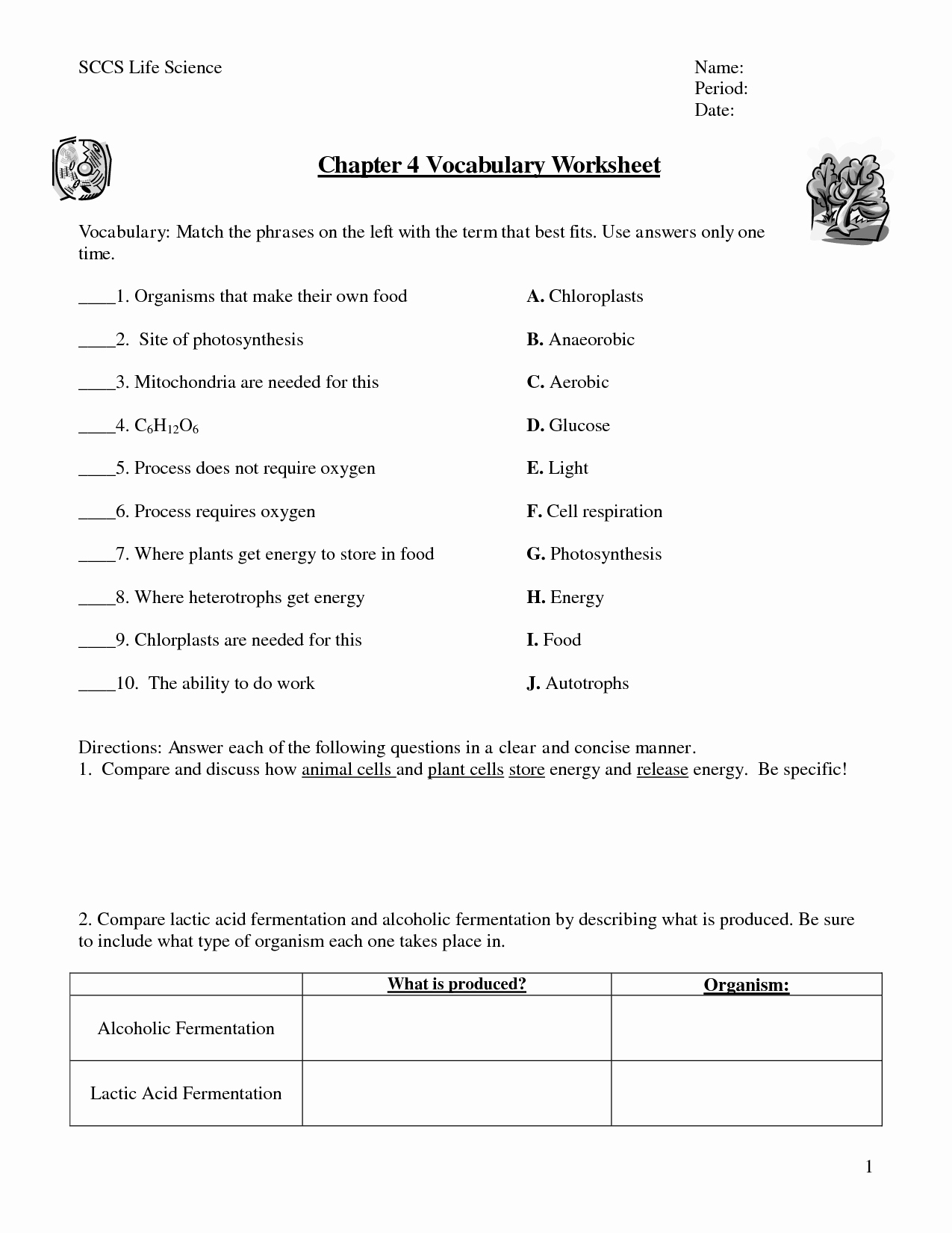 Photosynthesis and Cellular Respiration Worksheet Lovely 15 Best Of Chapter 9 Cellular Respiration Worksheet