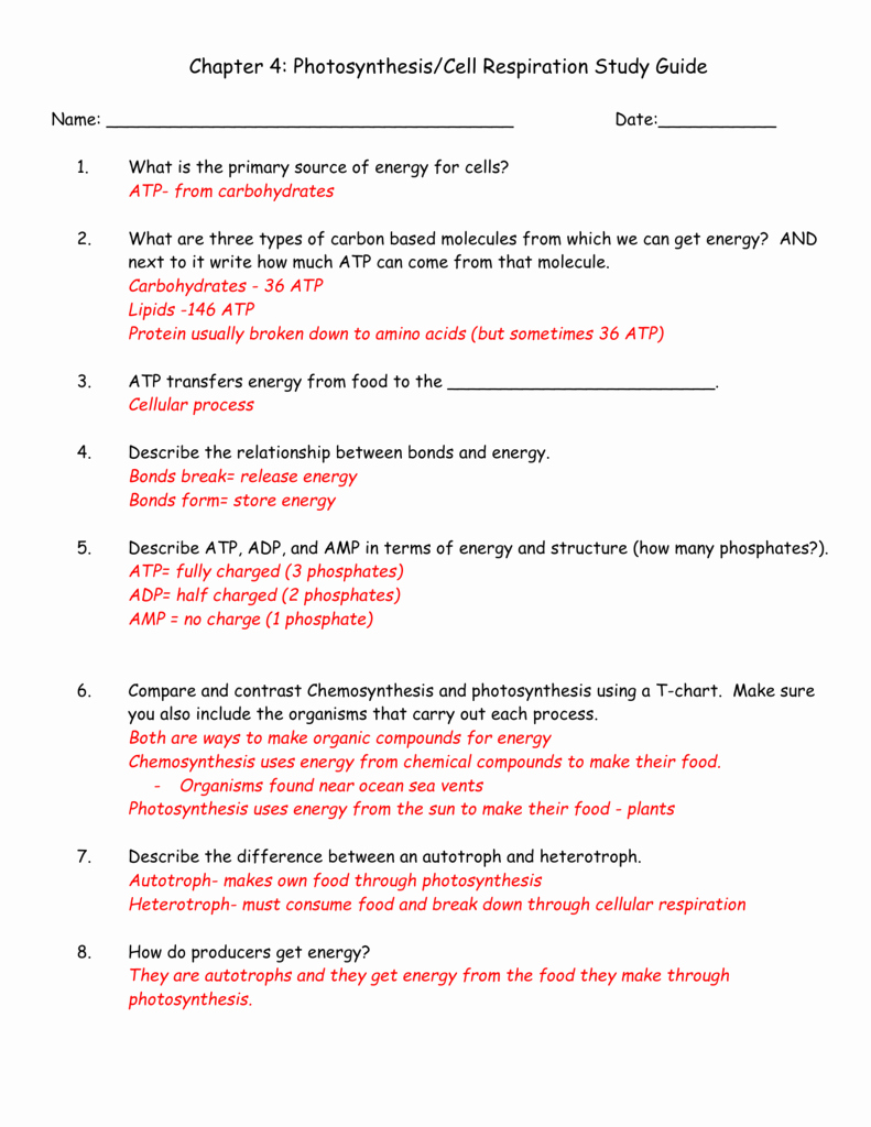 Photosynthesis and Cellular Respiration Worksheet Lovely 81 Energy and Life Worksheet Answer Key