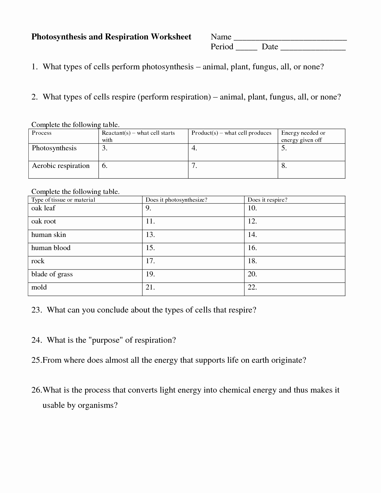 Photosynthesis and Cellular Respiration Worksheet Luxury 15 Best Of Plant Synthesis Worksheet