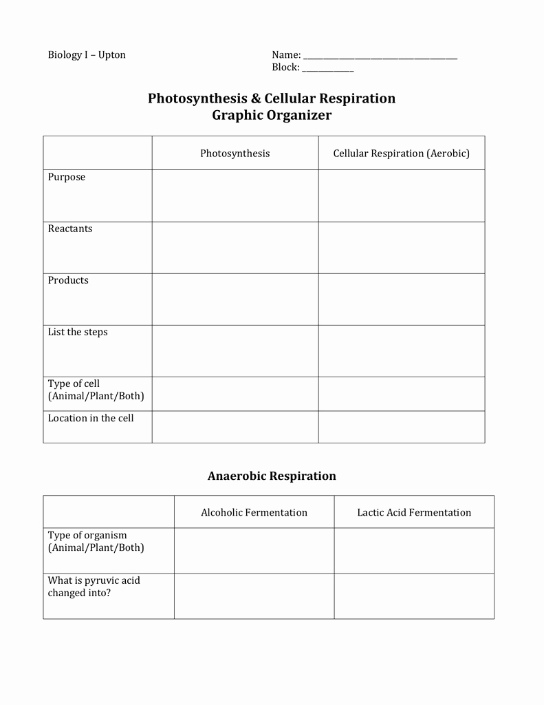Photosynthesis and Cellular Respiration Worksheet Luxury Synthesis &amp; Cellular Resp Review Worksheet