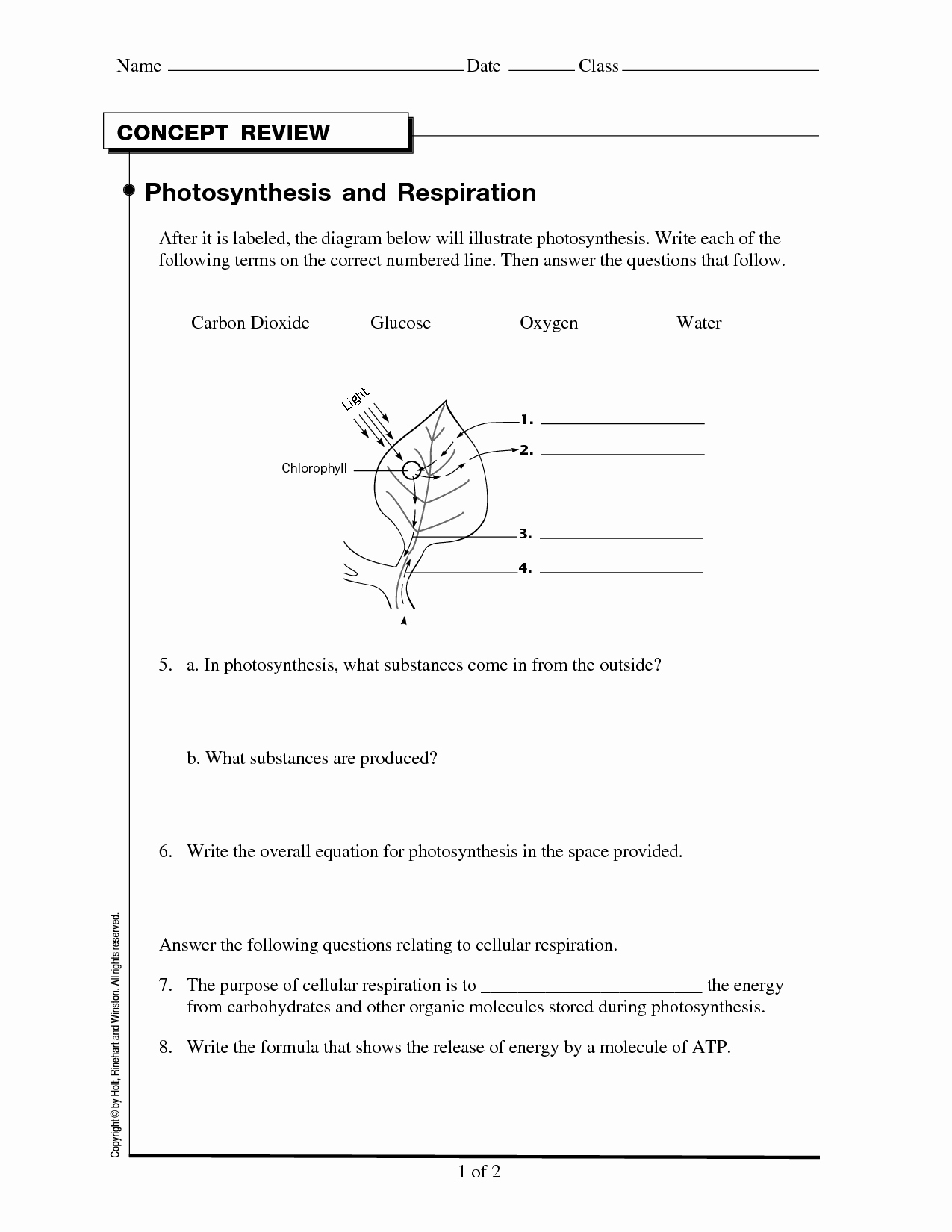 Photosynthesis and Cellular Respiration Worksheet Unique 15 Best Of Synthesis Lab Worksheet