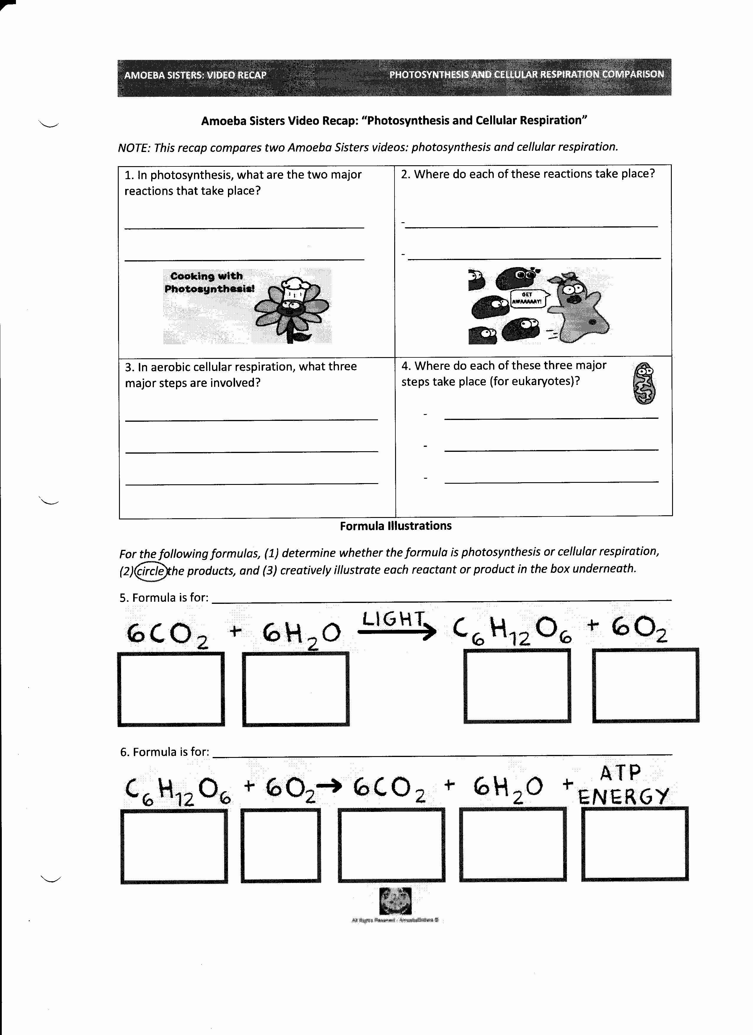 Photosynthesis and Respiration Worksheet Answers Beautiful Synthesis and Cellular Respiration Lessons Tes Teach