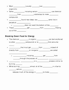 Photosynthesis and Respiration Worksheet Answers Fresh Synthesis and Cellular Respiration Notes Outline