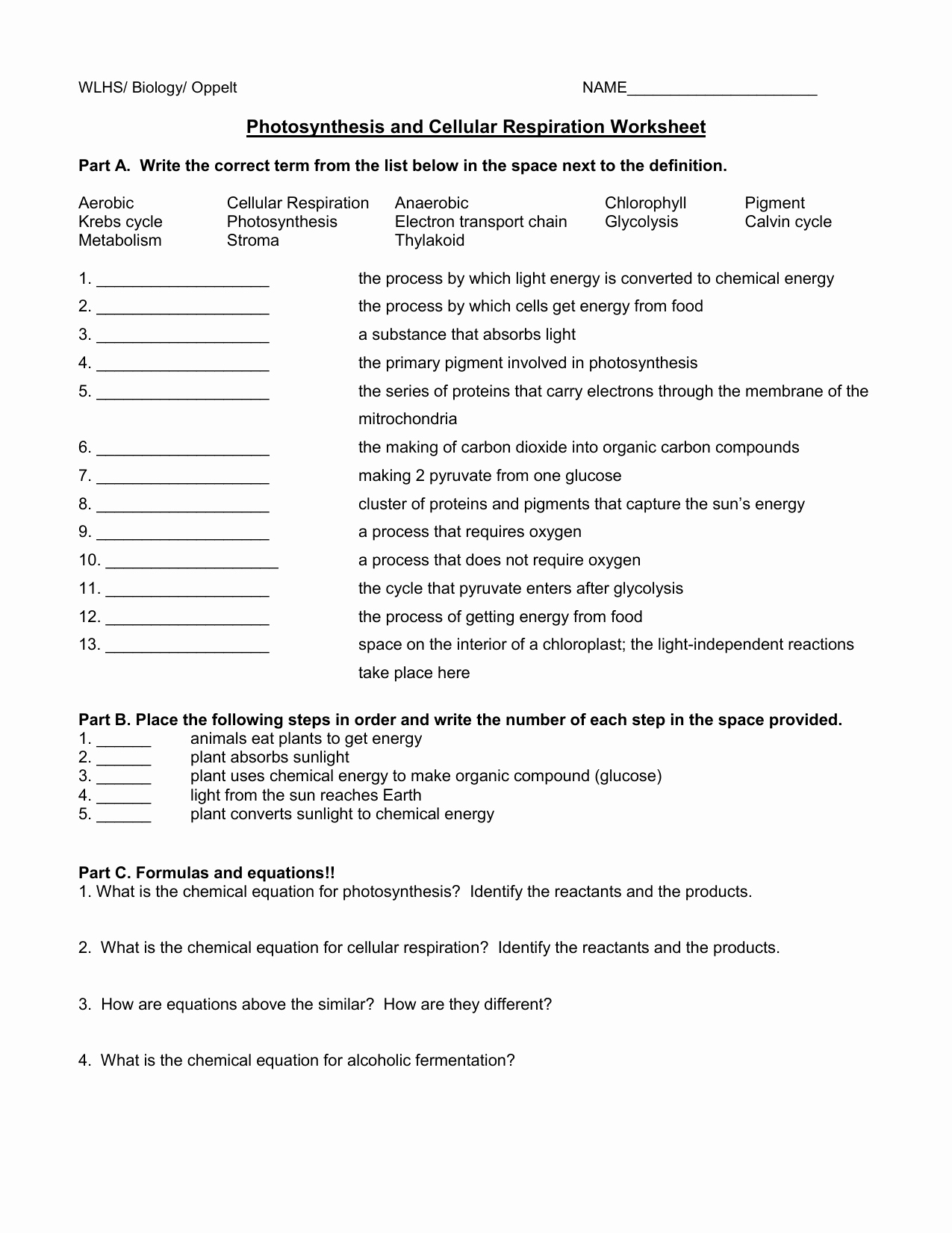 Photosynthesis and Respiration Worksheet Answers Fresh Synthesis and Cellular Respiration Worksheet Answers