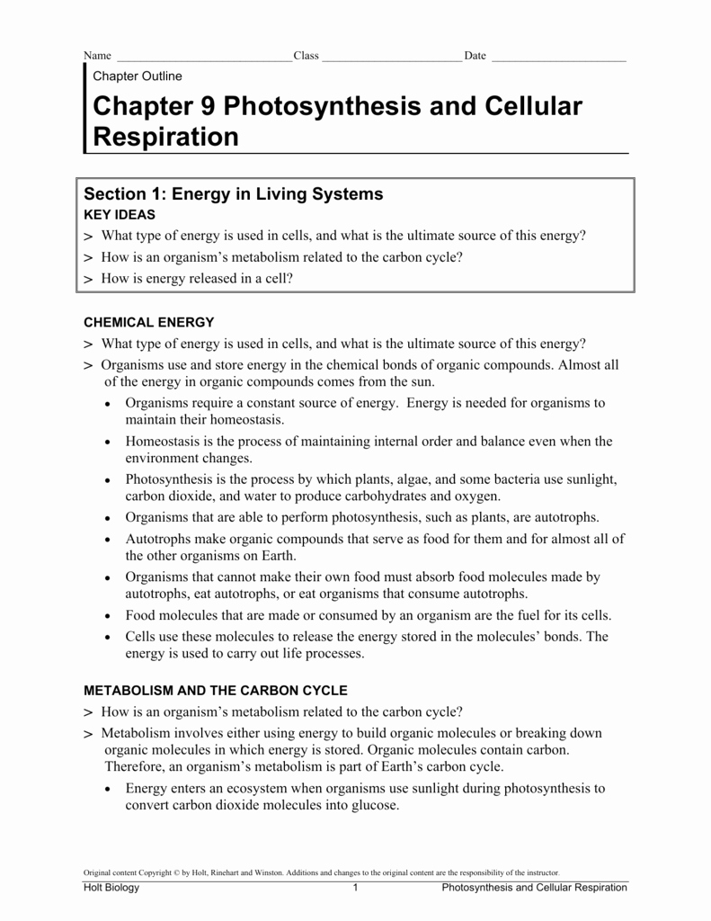 Photosynthesis and Respiration Worksheet Answers Inspirational Synthesis and Cellular Respiration Worksheet Answers