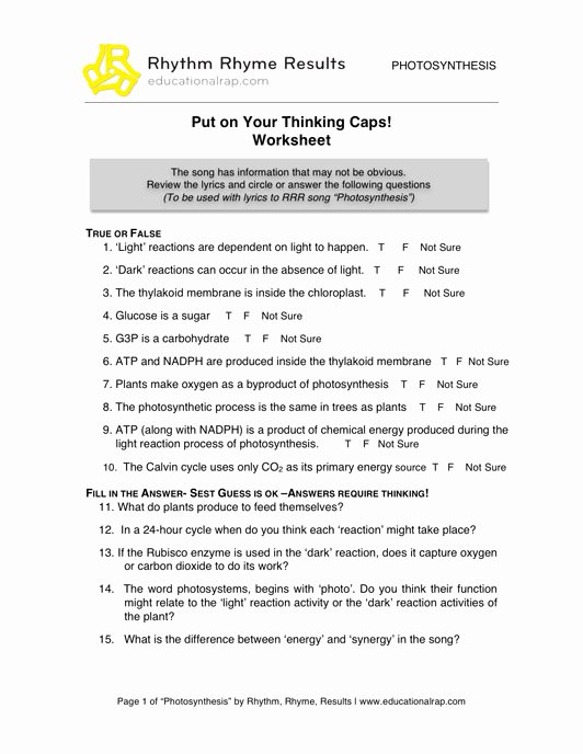 Photosynthesis and Respiration Worksheet Answers Lovely 10 Best Of Synthesis Starts with Worksheet