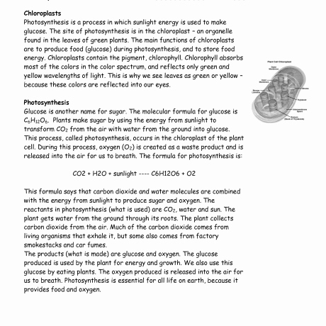 Photosynthesis and Respiration Worksheet Answers New Synthesis Cellular Respiration Worksheet Answers