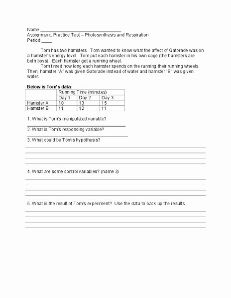 Photosynthesis and Respiration Worksheet Best Of Synthesis and Respiration Worksheet for 7th Grade